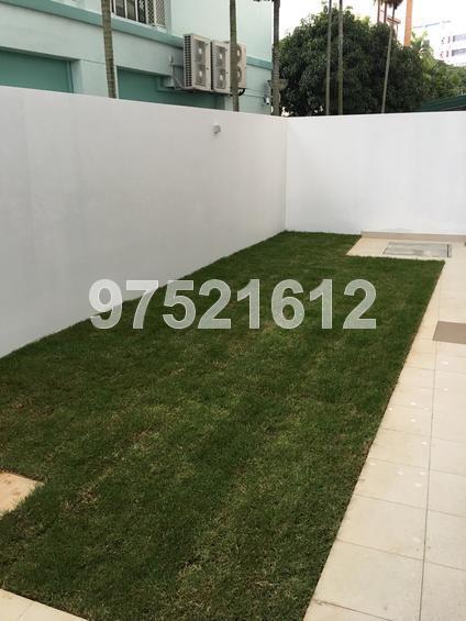Sallim Road (D14), Semi-Detached #139213682